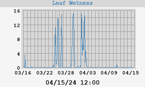 month leaf wetness