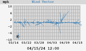 Wind Vector